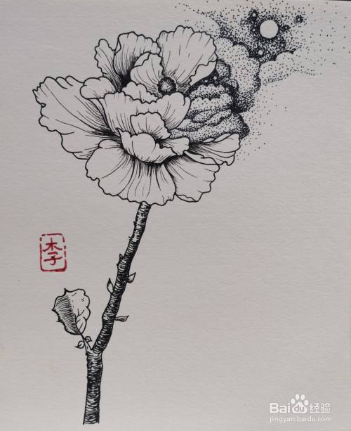 怎样画线描装饰画 花 百度经验