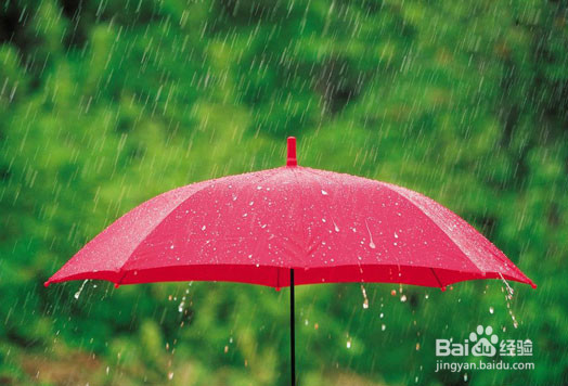 夏天旅游要注意什么在·