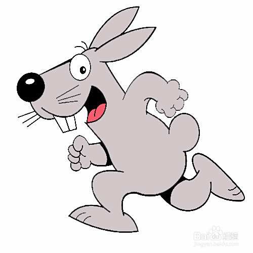 灰色的大牙兔子的简笔画