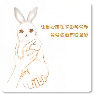 怎样以正确的姿势抱兔子