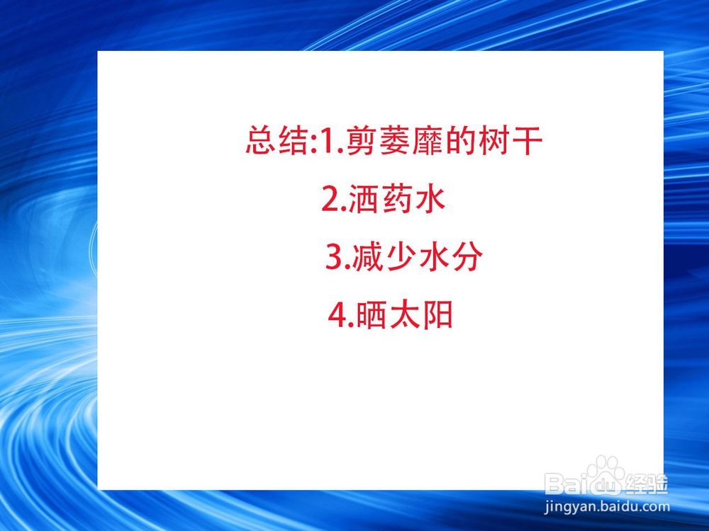 发财树树干萎缩怎么办