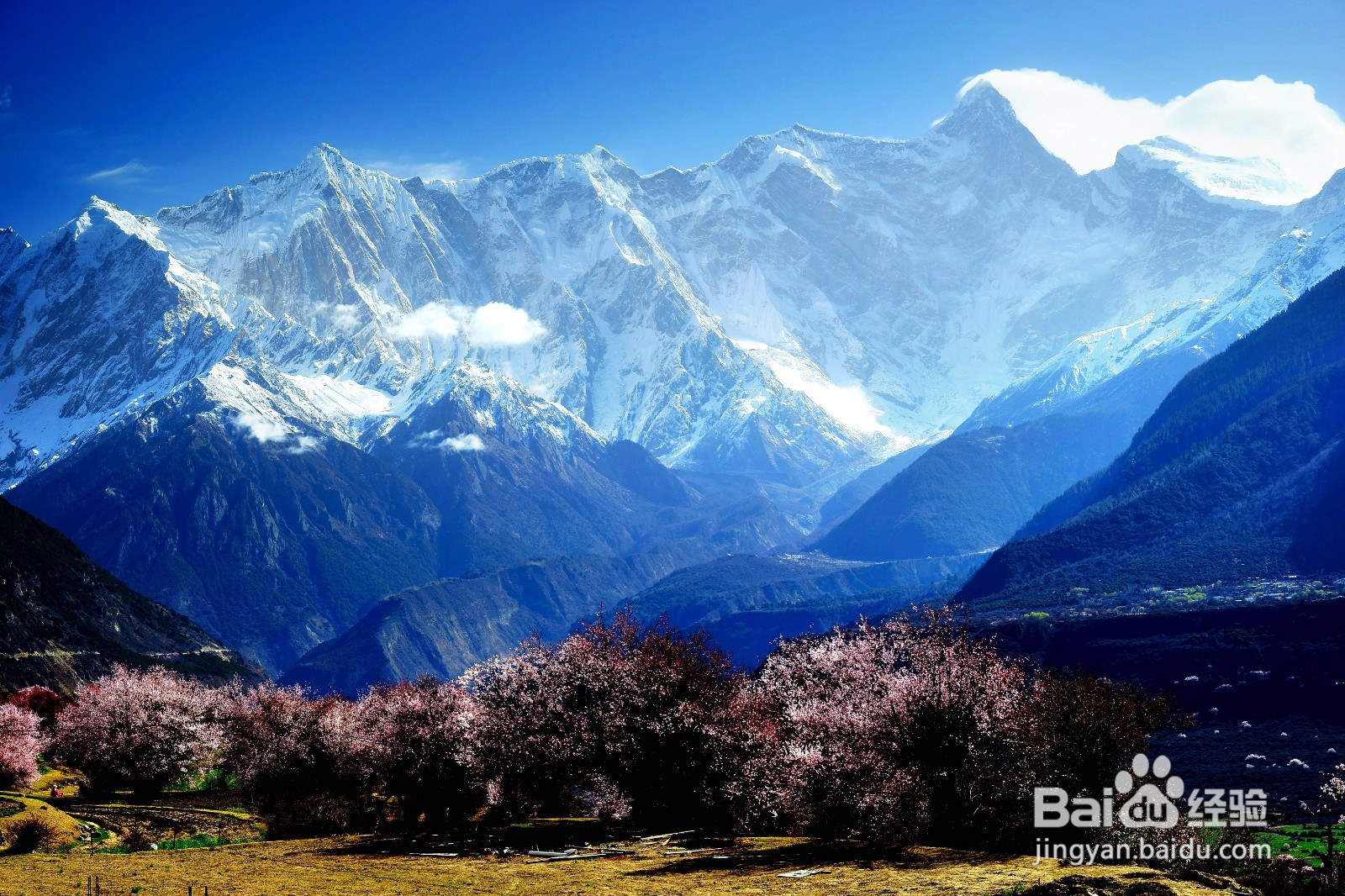 中国十大“仙境”