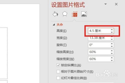 ppt中图片锁定纵横比情况下高度的设置方法
