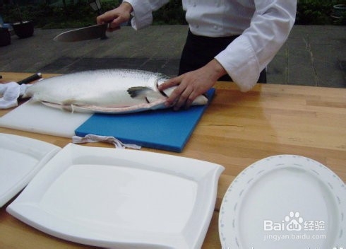三文鱼各部位切片图解
