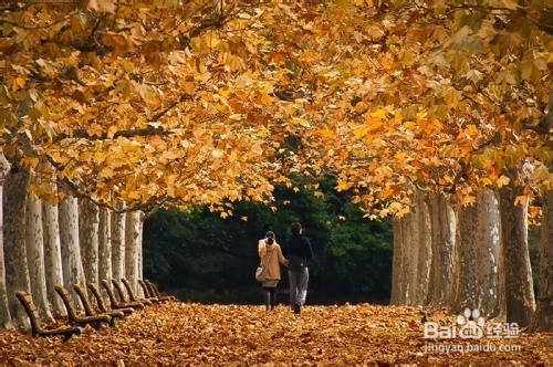 怎样表白才能更能感动她？