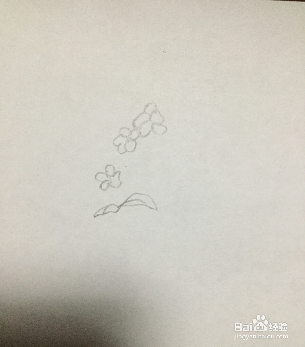 怎么画三聿花的简笔画