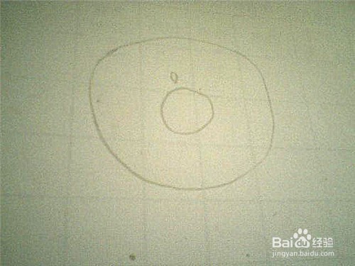 简笔画猕猴桃的画法