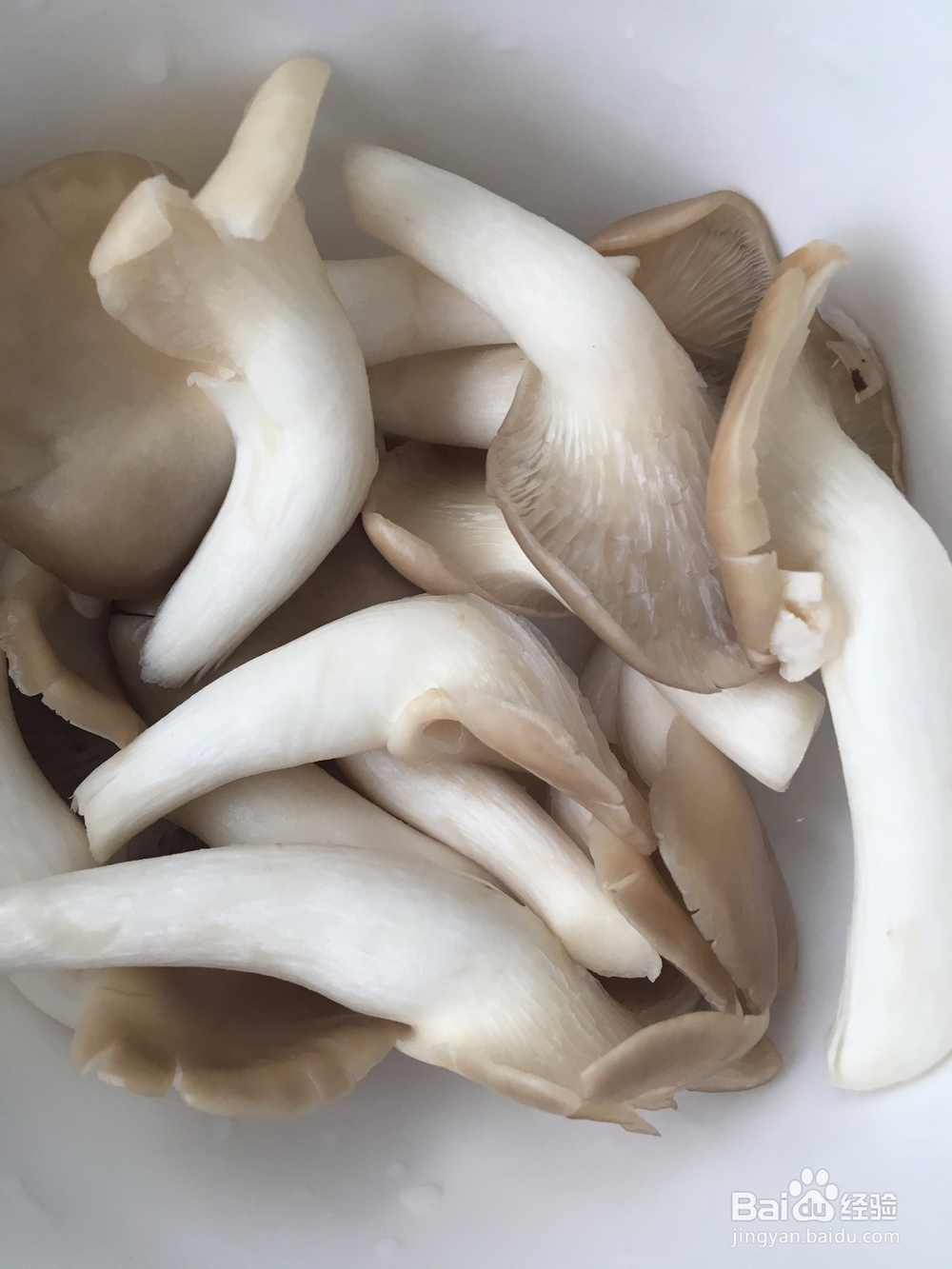 鸽子汤怎么做？