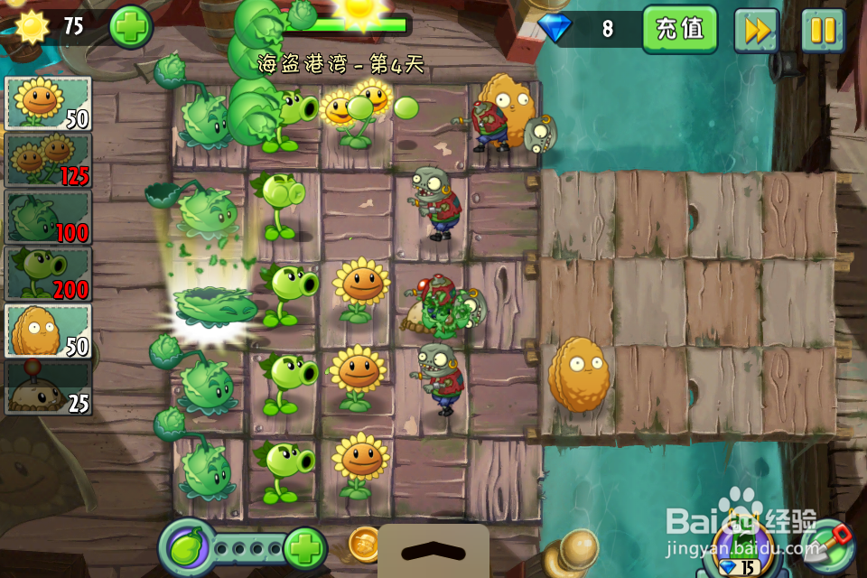 植物大战僵尸2:第4天(海盗港湾)