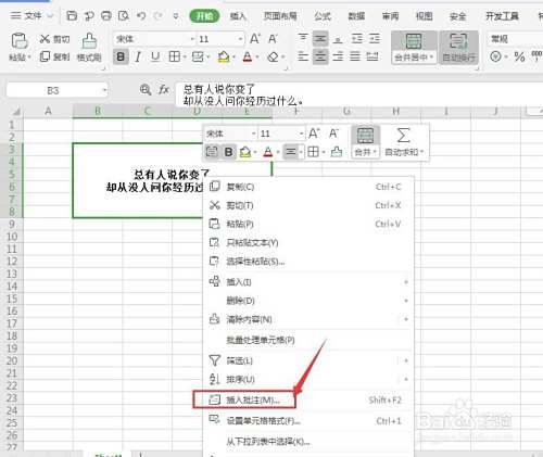 WPS表格中怎么添加自动隐藏的批注信息
