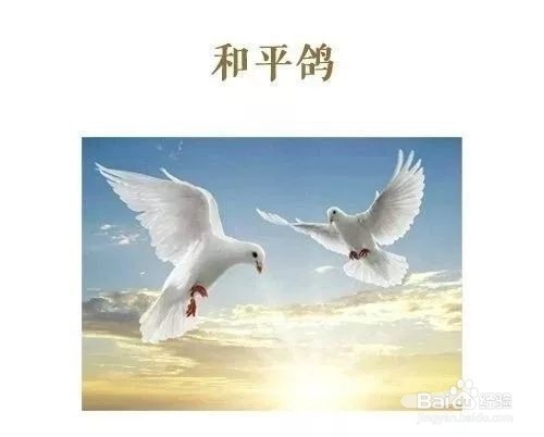 怎样理解世界名著中的典故常识?