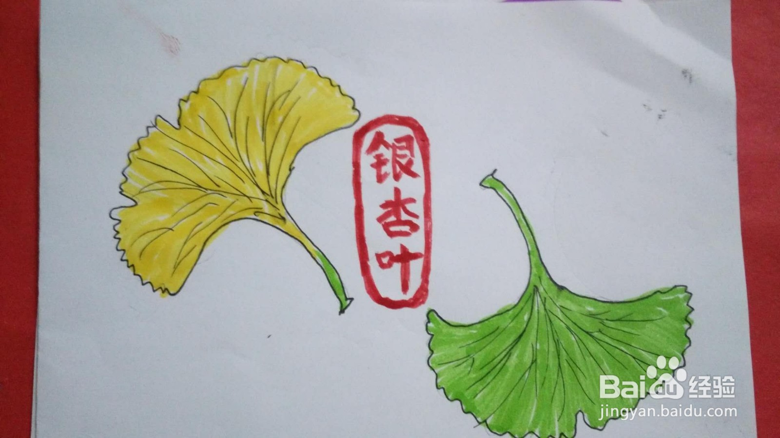 银杏树叶简笔画