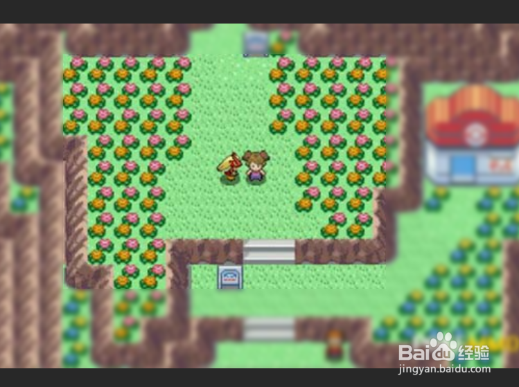 pokemmo渲染错误怎么办