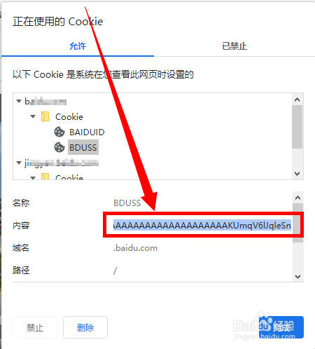谷歌浏览器如何查看Cookie的BDUSS？