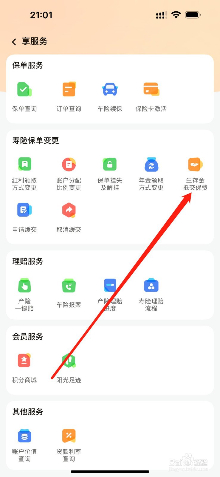 阳光保险怎么查看生存金抵交保费