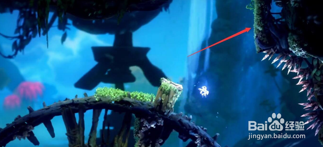 奥日2光之池怎么上去