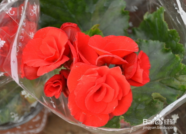 领导者需要具备的资质都有哪些