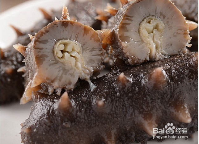 烟台海参的正确保存方法