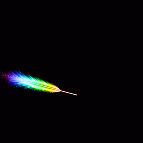 ps怎么制作羽毛，并制作漂亮的羽毛扇动画（二）