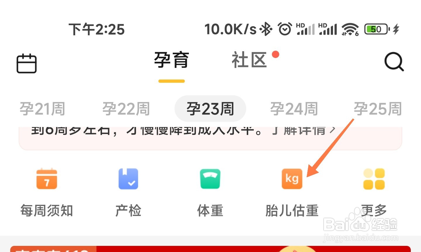 亲宝宝怎么给胎儿估重