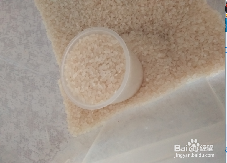 怎么样煮白饭好吃