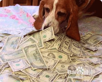 怎样把闲钱转入余额宝