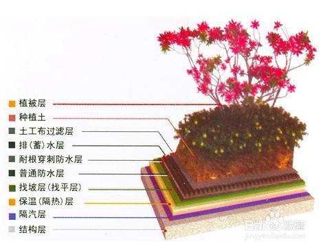 种植屋面构造做法