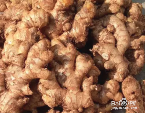 生姜的食用 姜相宜相克 食用价值 调味品食用姜