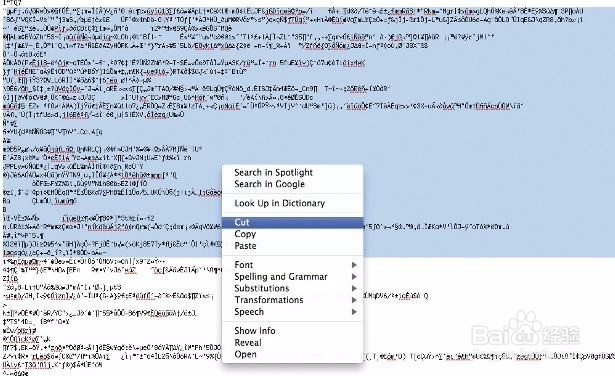 如何CMS漏洞利用
