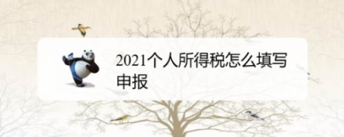 2021个人所得税怎么填写申报
