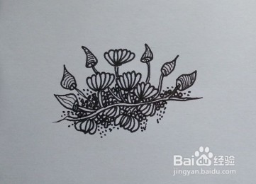 植物的线描画:花卉