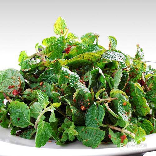 薄荷清新凉拌-百度经验