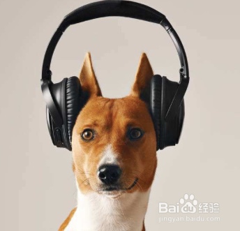 有效提升录音效果的小技巧!