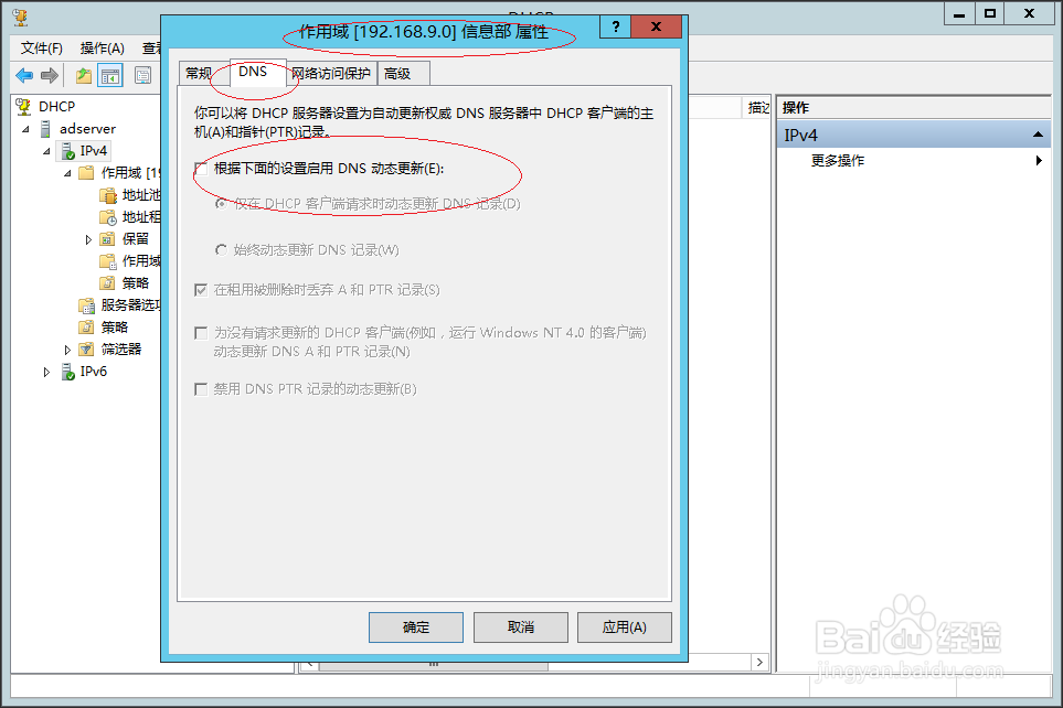 Windows服务器如何禁用DHCP IPv4域名动态更新