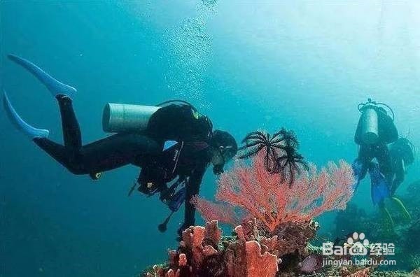 龙目岛，养在深闺人少识，一探方知若仙境