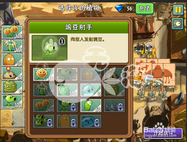 植物大战僵尸2攻略 神秘埃及 第七天一星