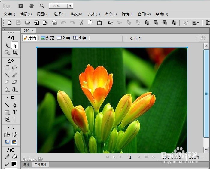 FW怎么制作出图片的缩放模糊效果