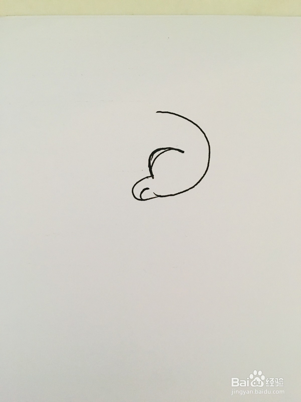 幼儿简笔画动物：小白兔的画法