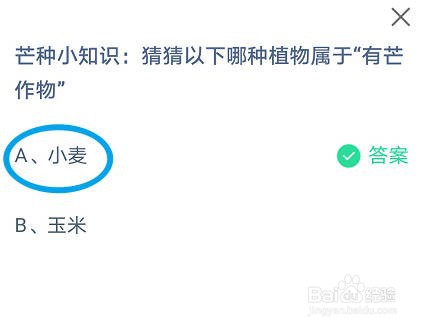 蚂蚁庄园 猜猜以下哪种植物属于