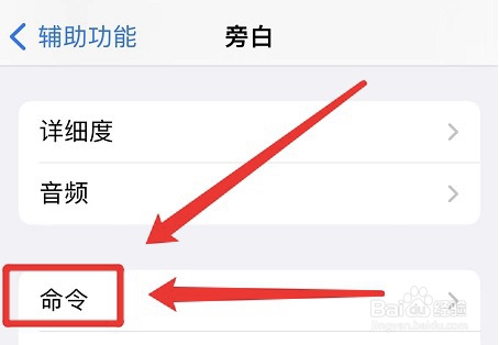 怎样一键还原iphone设置的旁白命令