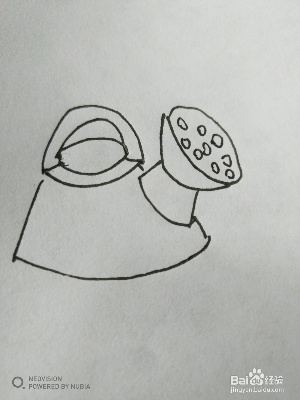 简单的水洒怎么画