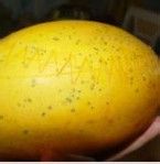 椰浆西米水果捞