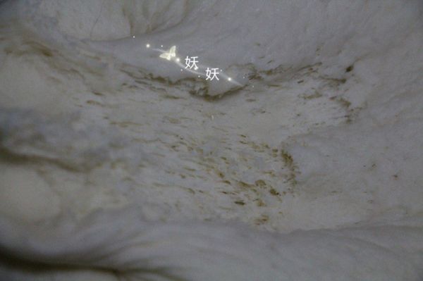韭菜粉丝大包子