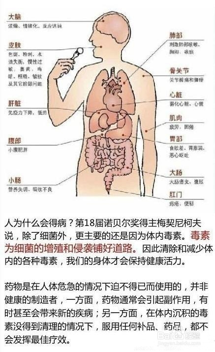 <b>女人如何保养自己就从排毒开始</b>