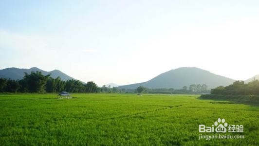 从化艾米农场旅游攻略