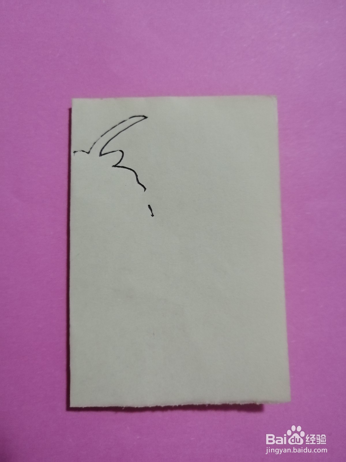 简单的龙虾怎么剪