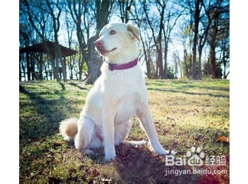 春暖花开如何有效预防过敏性鼻炎？