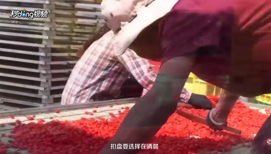 中宁枸杞的保存方法