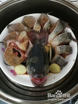食补养生清蒸鲈鱼（不用鱼盘）