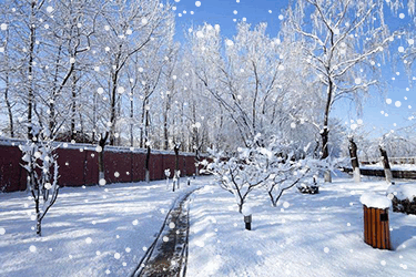 如何制作下雪动画